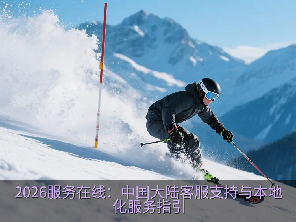 2026服务在线：中国大陆客服支持与本地化服务指引